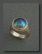 4-230_RG5522 abalone